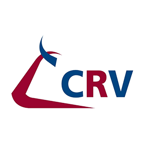 CRV Logo